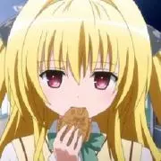 るーるの画像