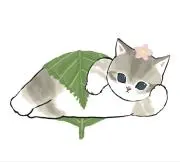catherineruoxiの画像
