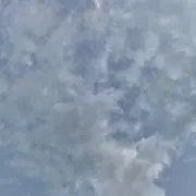 名無しの画像