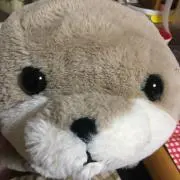 ちぃの画像