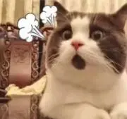 Kururiの画像