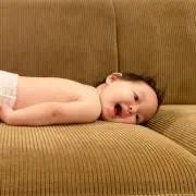 よしギュ