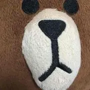 ブラウンの画像