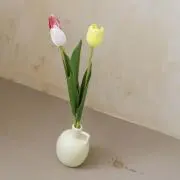 SYの画像