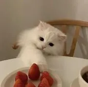 ♡ 値下げ交渉可能です！の画像