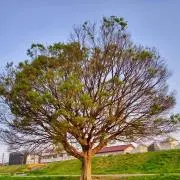 ととの家の画像