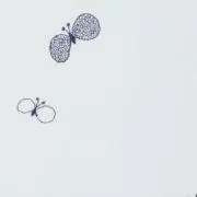 naの画像