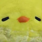 ぴよょの画像
