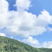 光リの画像