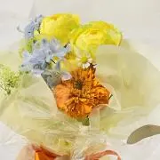きくの画像