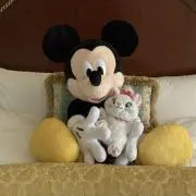 すたーの画像