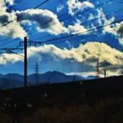 まるお