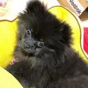 まあの画像