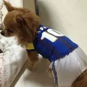 いくみ