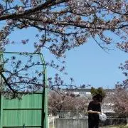 はぜどん