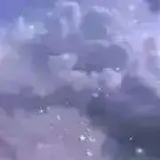 メル【8/8-8/16発送不可】の画像