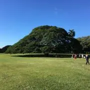 ガルベスの画像