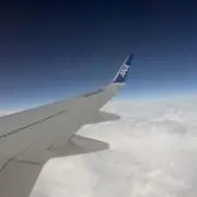 WATAの画像