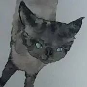 ゆうゆう猫の画像