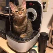 すず❤️得々セール実施中❗️プロフ必読の画像