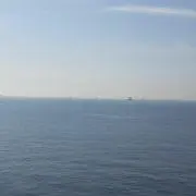 あんこの画像