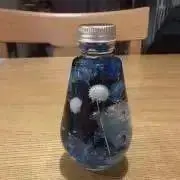 とっしーの画像