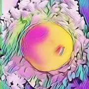 charme☆の画像