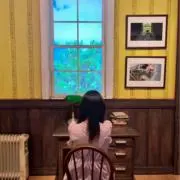 ゆゆ