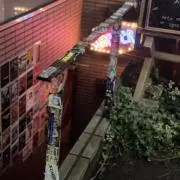 小野