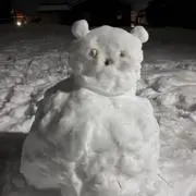 Bearの画像