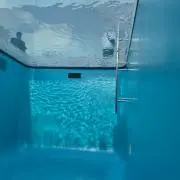 リンゴ・スターの画像