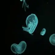 湊