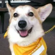 ありさ