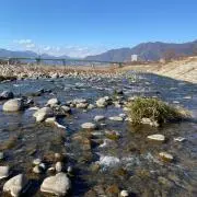 夢の画像
