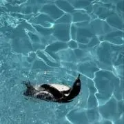 かなとの画像