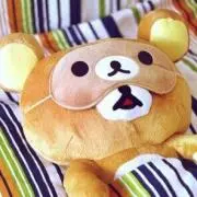 ☆ぶぅ☆