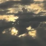 牛タンの画像
