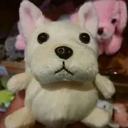 きいさん