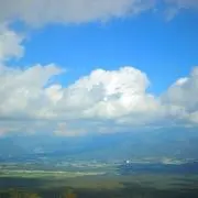 luluの画像