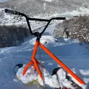れざどん