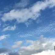 フクミ