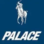 palaceの画像