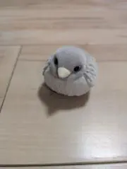ゆうの画像