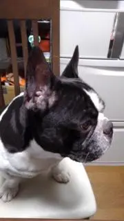 たっちゃん