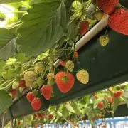 にこにこ