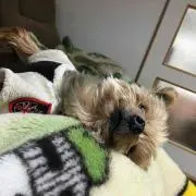 こまめ【プロフ必読】の画像