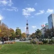 ゆーの画像
