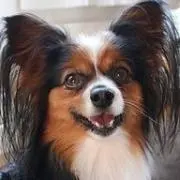 Jack