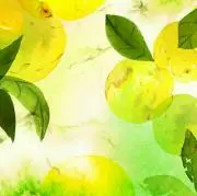 kenhalmiの画像