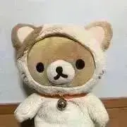 くま猫★プロフ必読の画像